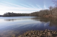 Photo of New Mill Pond